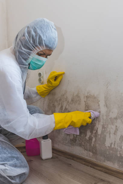 Best Post-Remediation Verification Testing  in Salyersville, KY