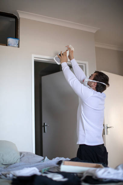 Best Attic Mold Removal  in Salyersville, KY
